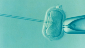 IVF test tube treatment injecting sperm into woman eggs